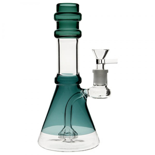 Plain Jane Glass 8" Perc'd Double Rim Bea...